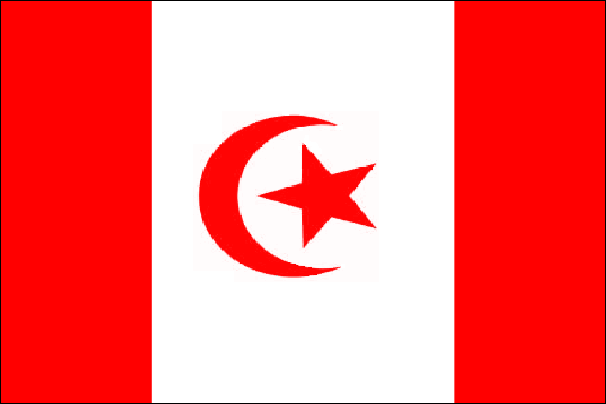 Image result for islamic flag canada